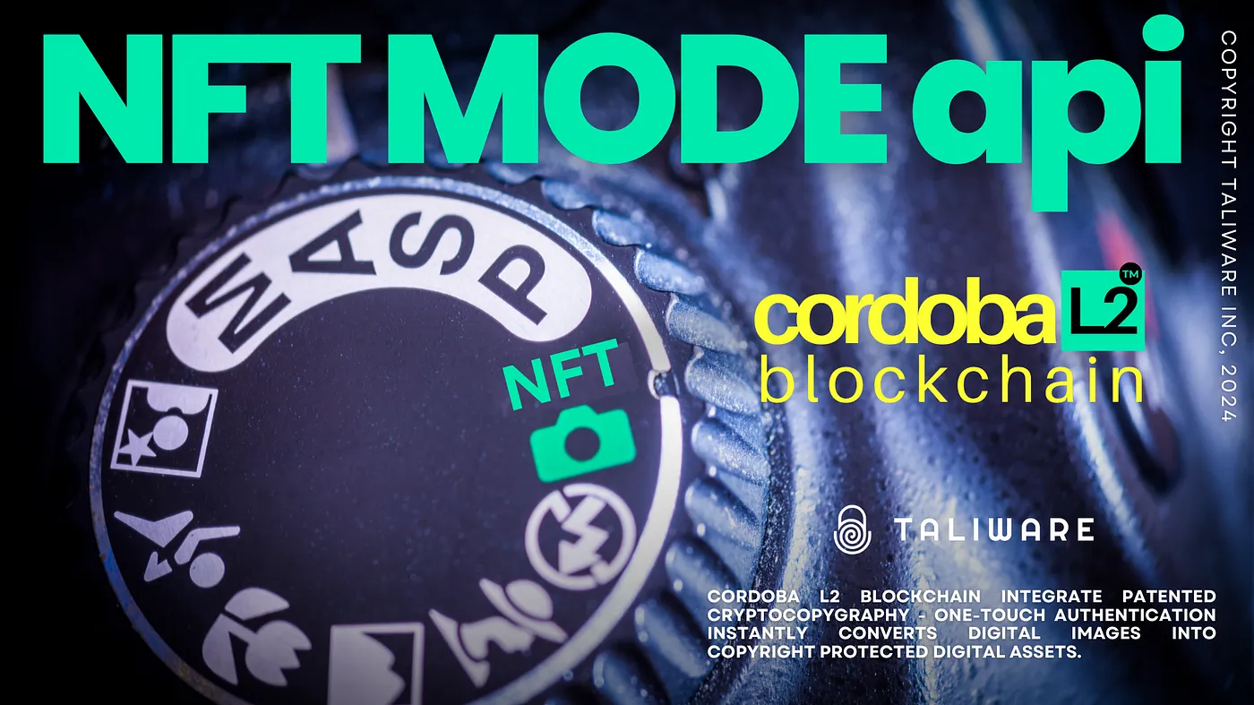 NFT Mode digital photography