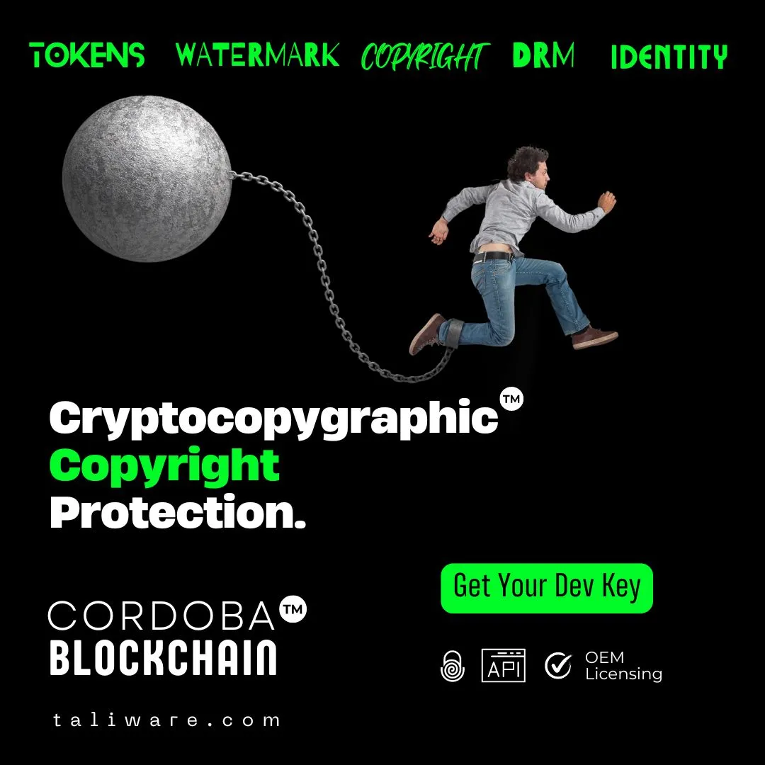 Users learning blockchain via photography